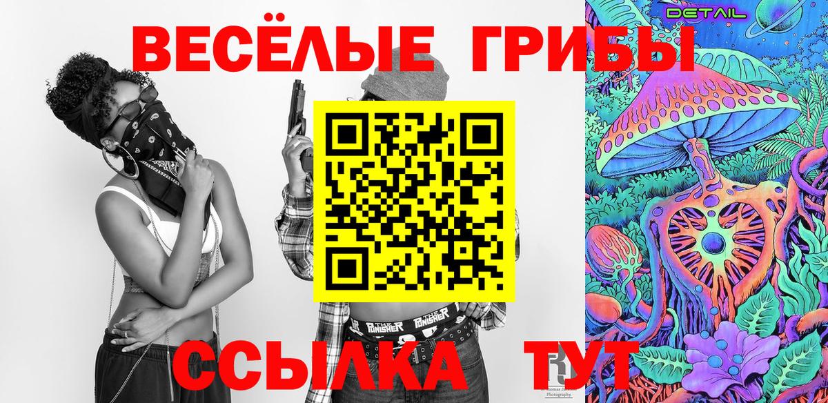 Псилоцибиновые грибы GOLDEN TEACHER  Псилоцибиновые грибы ЛСД  Шали  Вход с VPN 