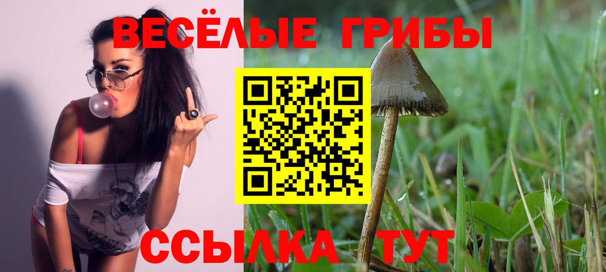 Псилоцибиновые грибы прущие грибы Шали